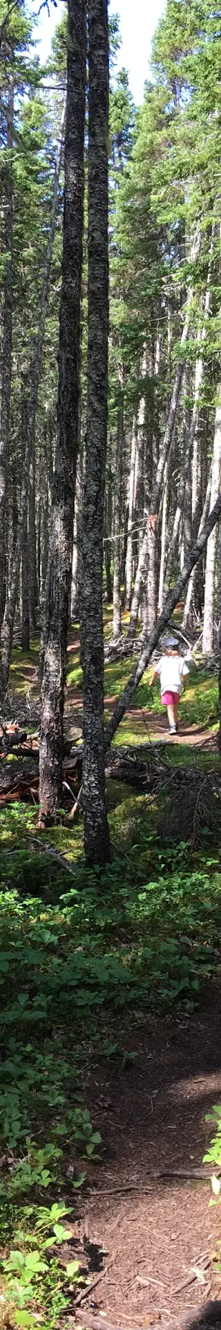 Terra Nova Nationalpark